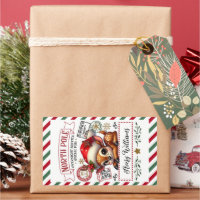 Cute Deer Christmas Special Delivery From Sant