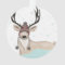 Cute Deer With Hat Winter Background