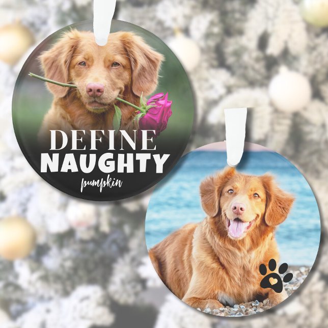 Cute Define Naughty Dog Photo Ornament (Cute Define Naughty Dog Photo Ornament)