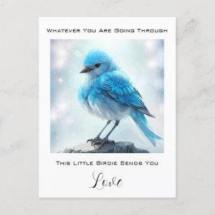 *~* Cute Detailed Blue Bird AP54 Care Concern Postcard
