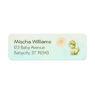 Cute Dinosaur Boys Baby Shower Return Address Label