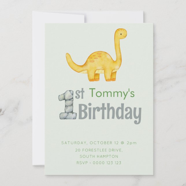 Cute Dinosaur Brontosaurus 1st Birthday Party Boys Invitation (Front)