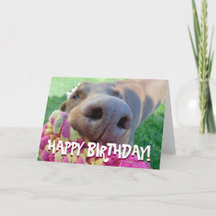 Cute doberman birthday card
