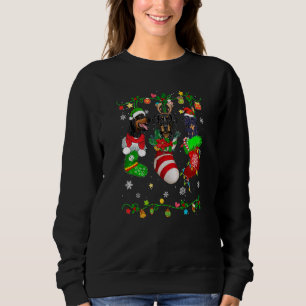 Cute Doberman Dog In Christmas Socks Pet Sweatshirt