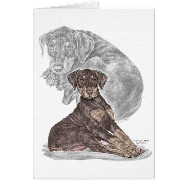 Cute Doberman Pinscher Puppy (Front)