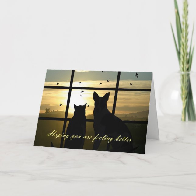 Cute Dog and Cat In Window Feel Better Card (Front)