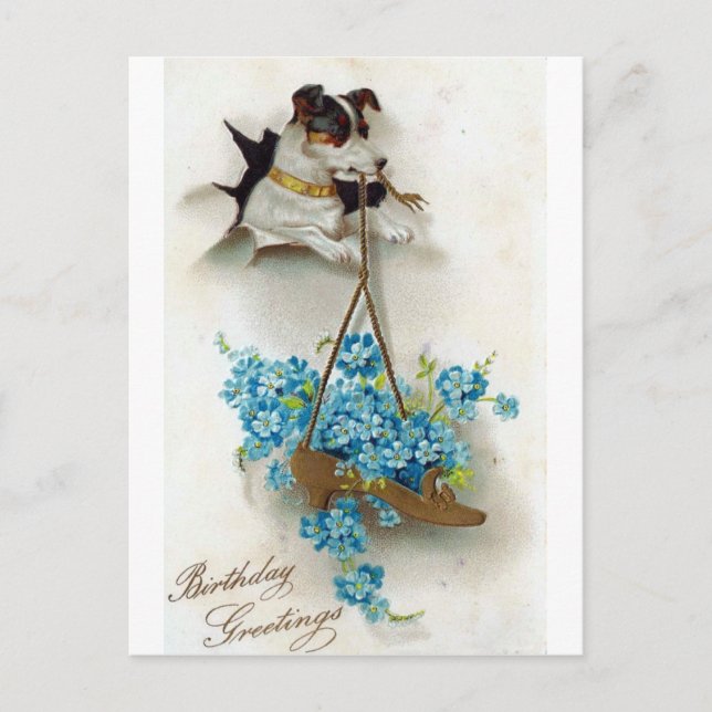 Cute Dog and Shoe Birthday Greetings Postcard (Front)