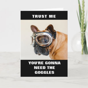 Cute Dog Anniversary/Retirement/Congrats Card