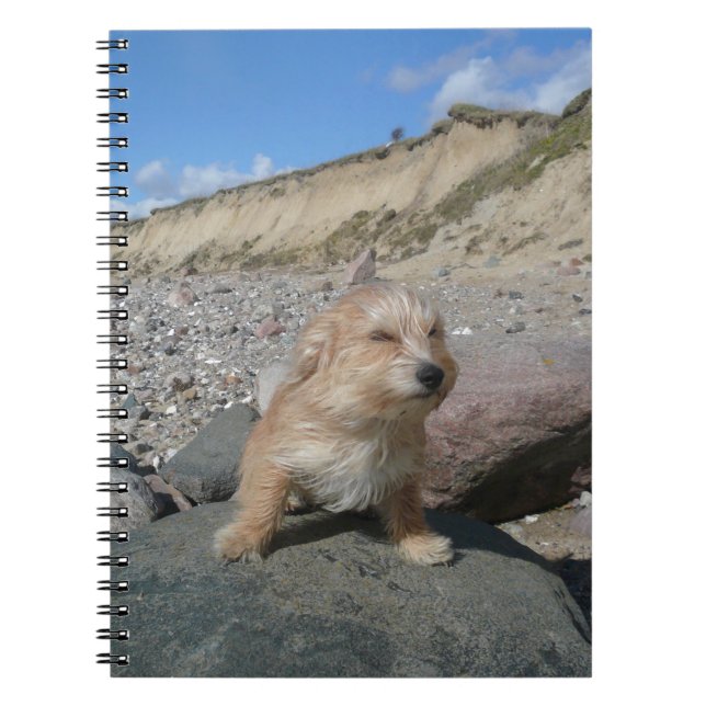 Cute dog at the beach notebook (Front)
