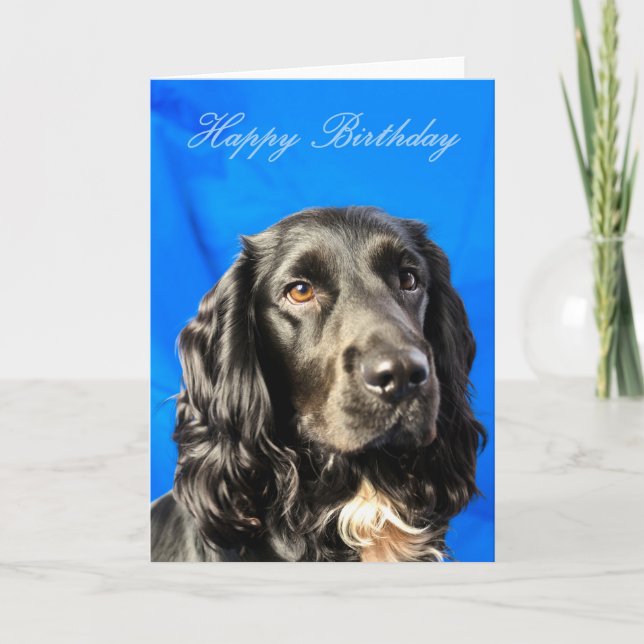 Cute Dog Birthday Card (Front)