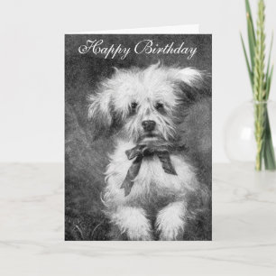 Cute Dog Birthday Card