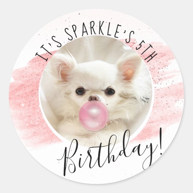 Cute Dog Birthday Party | Sparkle The Tiny Chi  Classic Round Sticker (Front)