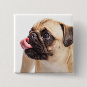 Cute Dog button 1