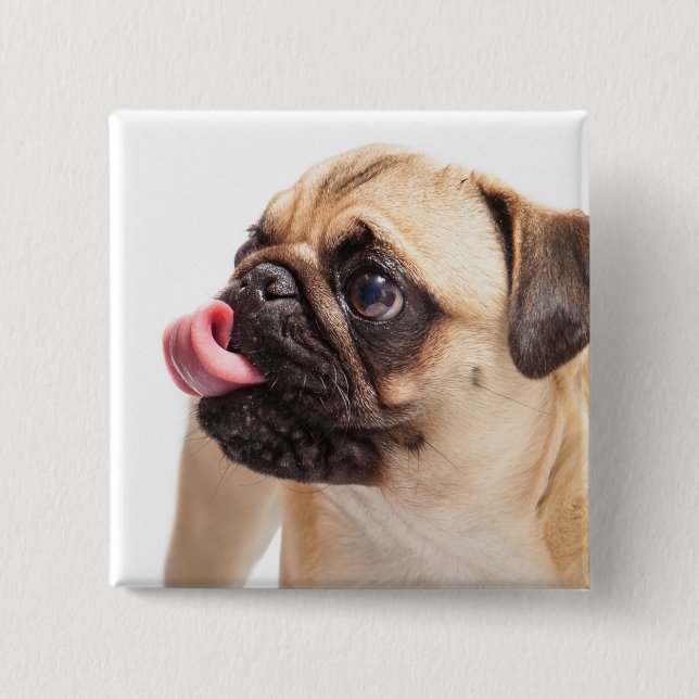 Cute Dog button 1 (Front)