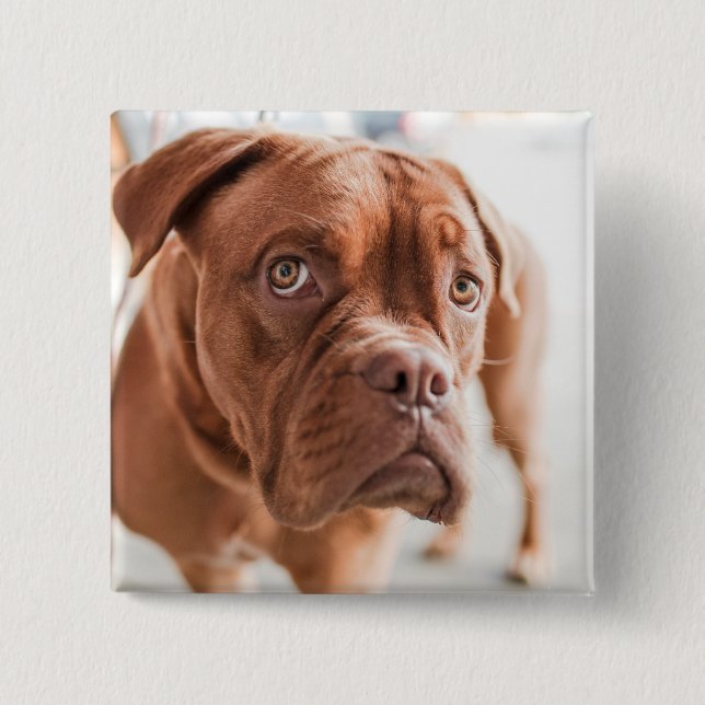 Cute Dog button 11 (Front)