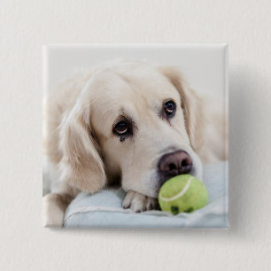 Cute Dog button 4