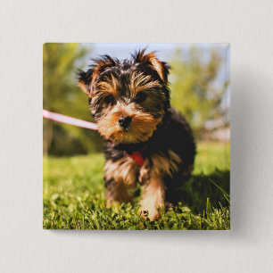 Cute Dog button 5