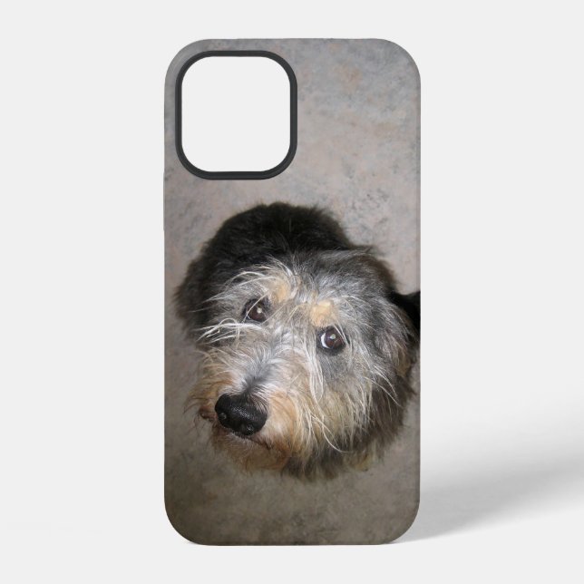 Cute dog Case-Mate iPhone case (Back)