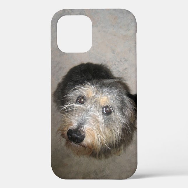 Cute dog Case-Mate iPhone case (Back)