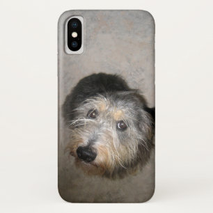 Cute dog iPhone x case