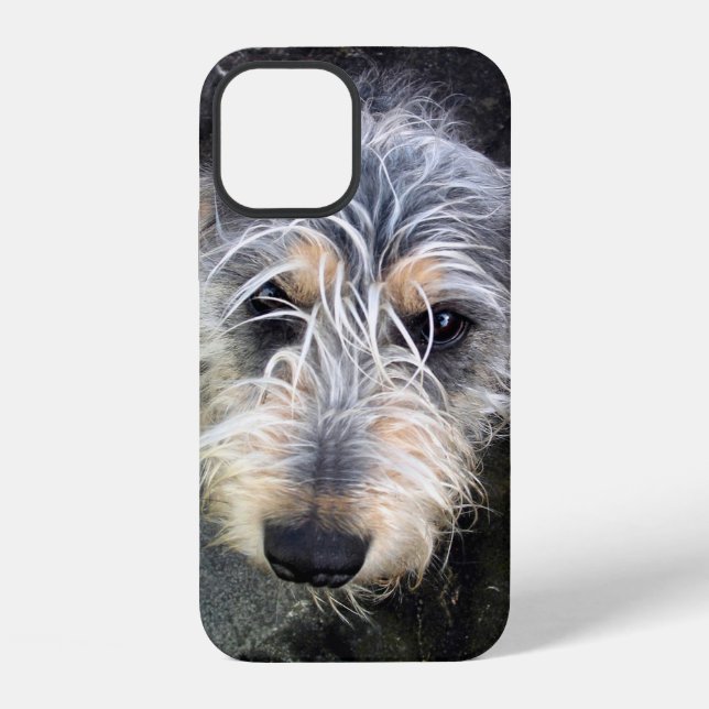 Cute dog Case-Mate iPhone case (Back)