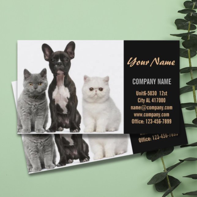 Cute dog cat pet sitter animal sitter pet groomer business card (Cute dog cat pet sitter animal sitter pet groomer business card)