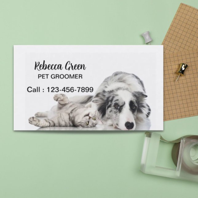 Cute dog cat pet sitter animal sitter pet groomer business card (Cute dog cat pet sitter animal sitter pet groomer business card)
