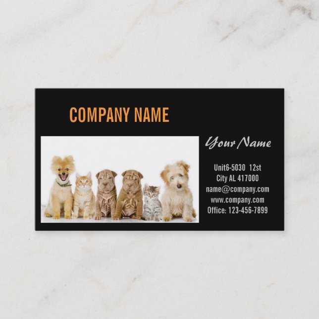 Cute dog cat pet sitter animal sitter pet groomer business card (Front)