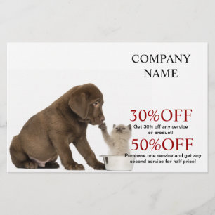 Cute dog cat pet sitter pet groomer veterinarian flyer