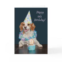 Cute dog celebrating a 9th Birthday!