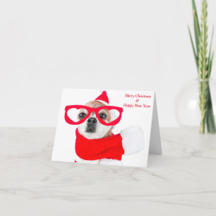 Cute Dog Chihuahua In Santa Claus Card