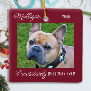 Cute Dog Christmas Personalized 2 Pet Photo Ceramic Ornament