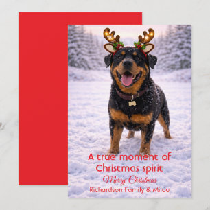 Cute Dog Christmas Sweet Quote Holiday Card
