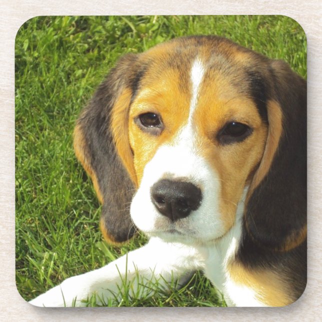 Cute Dog Coaster (Front)