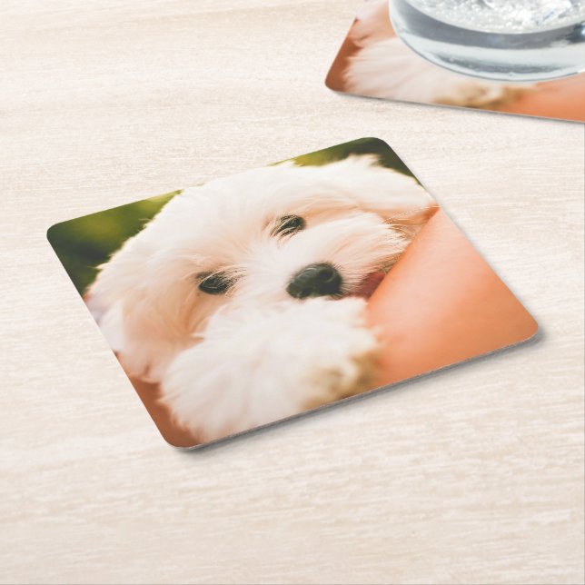 Cute Dog coasters 2 (Angled)