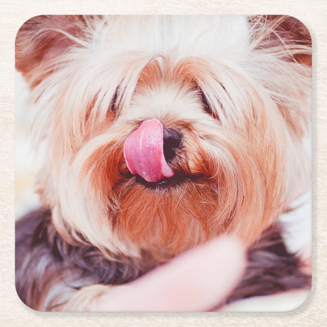 Cute Dog coasters 5 (Front)