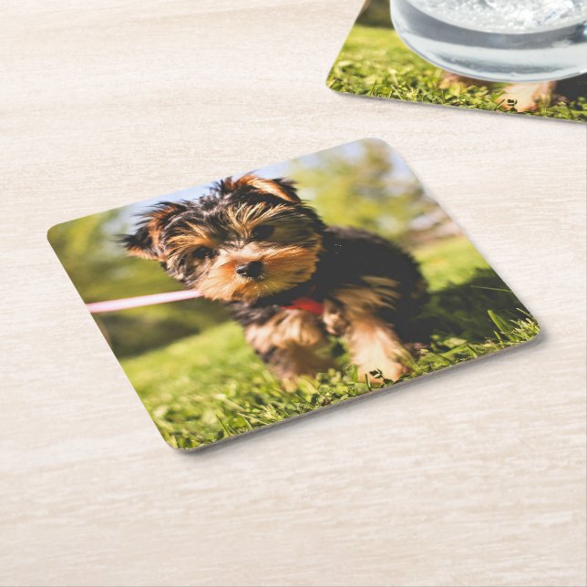 Cute Dog coasters 9 (Angled)