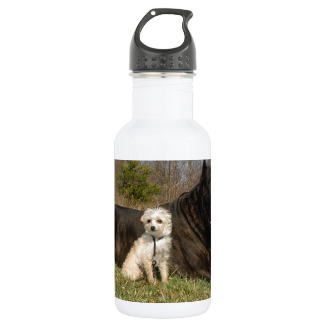 Cute Dog Couple 532 Ml Water Bottle (Front)