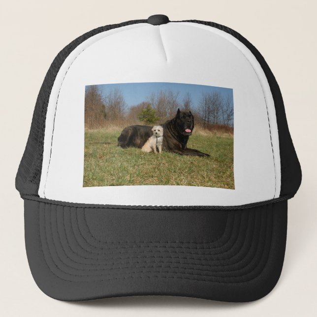 Cute Dog Couple Trucker Hat (Front)