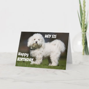 CUTE DOG FOR MY SISTER'S BIRTHDAY CARD
