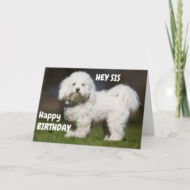CUTE DOG FOR MY SISTER'S BIRTHDAY CARD (Front)