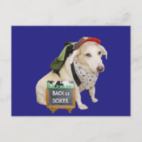 Cute Dog Funny Back to School