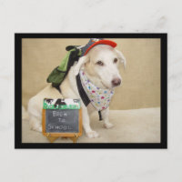 Cute Dog Funny Back to School