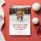  Cute Dog Funny Pet Photo Christmas