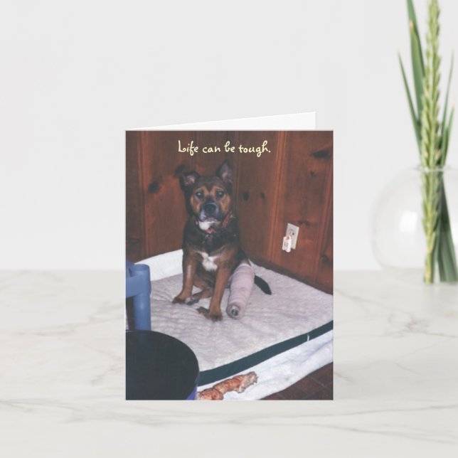 Cute Dog Get Well/Broken Leg Card (Front)