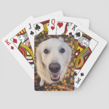 Cute dog gift for pet parents