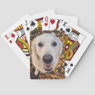 Cute dog gift for pet parents playing cards