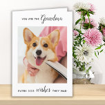 Cute Dog Grandma Personalised Pet Photo Birthday  Holiday Card<br><div class="desc">Happy Birthday the the best dog grandma ever ! Give Grandma a cute and funny personalised pet photo card from her best grandchild, the dog! "You Are The Grandma Every Dog Wishes They Had . . . Happy Birthday Grandma, Love the Dog" Personalise the inside with your special message, the...</div>