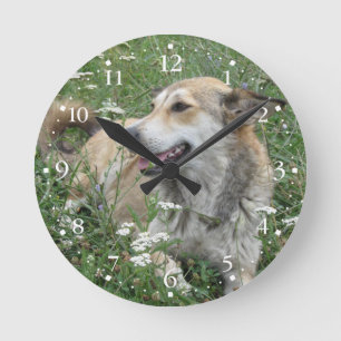 Cute Dog Green Grass Clockface 1 Round Clock