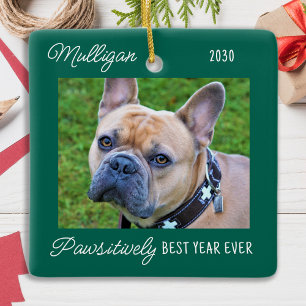 Cute Dog Green Quarantine Christmas Pet Photo Ceramic Ornament